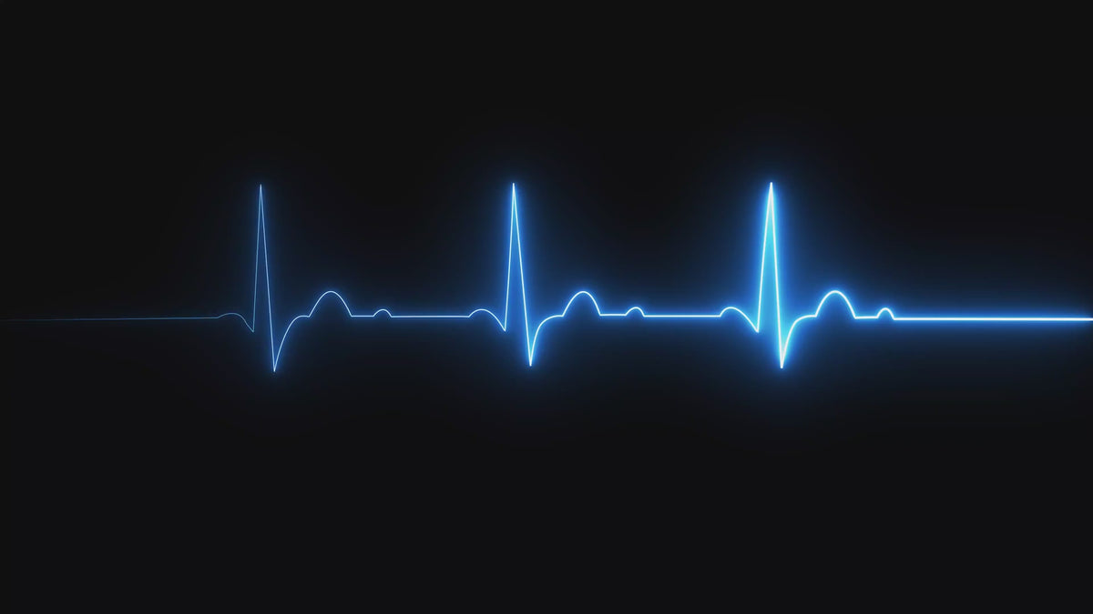 Crash Pulse US